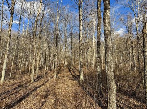 5698 Morgantown Pike Belington WV 26250