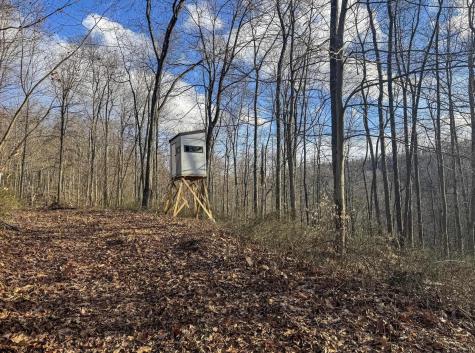 5698 Morgantown Pike Belington WV 26250