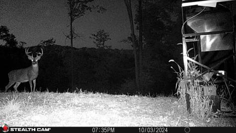 5698 Morgantown Pike Belington WV 26250