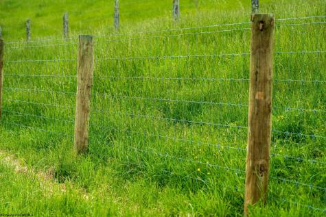 5698 Morgantown Pike Belington WV 26250