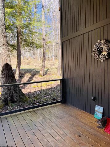 952 Rhododendron Drive Terra Alta WV 26764