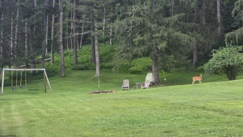 52 Cherry Hill Road Philippi WV 26416-7688