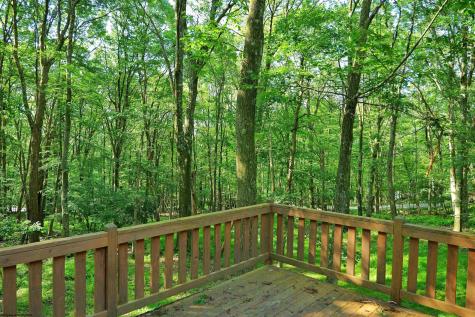 6 Sorrel Court Terra Alta WV 26764