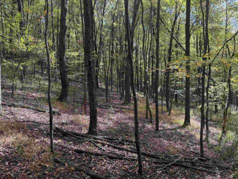 1690 Levels Road Fairmont WV 26554