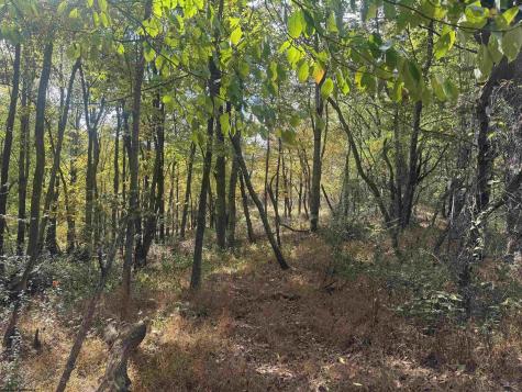 1690 Levels Road Fairmont WV 26554