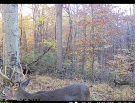 720 Fairview Road Independence WV 26374