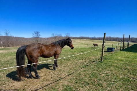 301 Dinkenberger Road Kingwood WV 26537