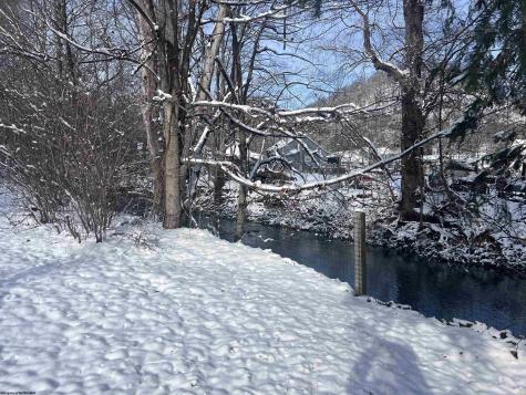 0 Allen Street Mill Creek WV 26280