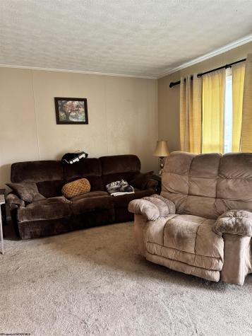 403 Adair Street Terra Alta WV 26764