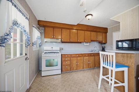 317 Indiana Avenue Nutter Fort WV 26301-0000
