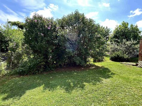 502 Chestnut Street Parsons WV 26287