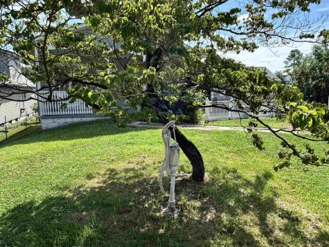 502 Chestnut Street Parsons WV 26287