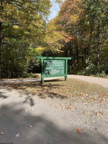 600 Forest Cabin Road Huttonsville WV 26273