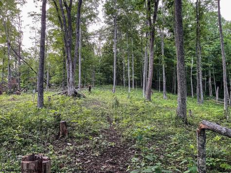 1819 Indian Creek Road Alma WV 26320