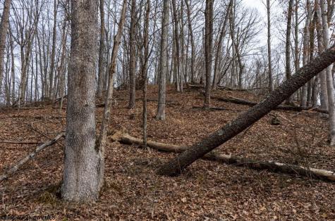 1819 Indian Creek Road Alma WV 26320