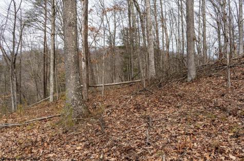 1819 Indian Creek Road Alma WV 26320