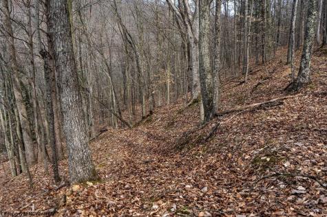 1819 Indian Creek Road Alma WV 26320