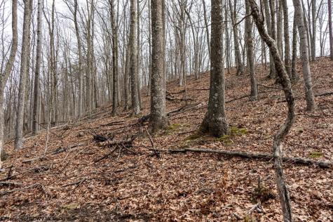 1819 Indian Creek Road Alma WV 26320