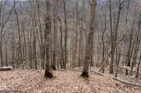1819 Indian Creek Road Alma WV 26320