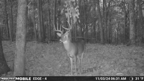 1819 Indian Creek Road Alma WV 26320