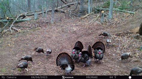 1819 Indian Creek Road Alma WV 26320