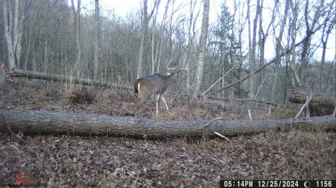 1819 Indian Creek Road Alma WV 26320