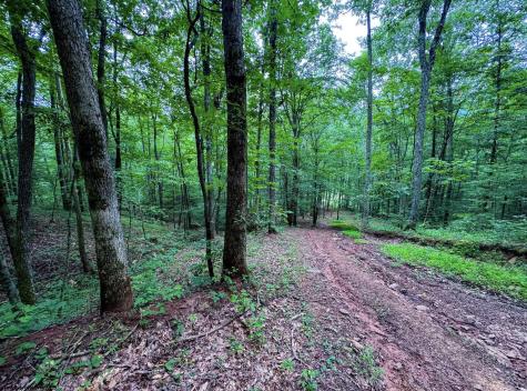 1819 Indian Creek Road Alma WV 26320