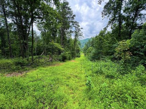 1819 Indian Creek Road Alma WV 26320