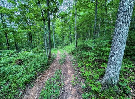 1819 Indian Creek Road Alma WV 26320