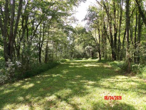 3788 Brushy Fork Road Buckhannon WV 26201