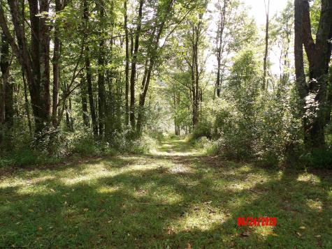 3788 Brushy Fork Road Buckhannon WV 26201