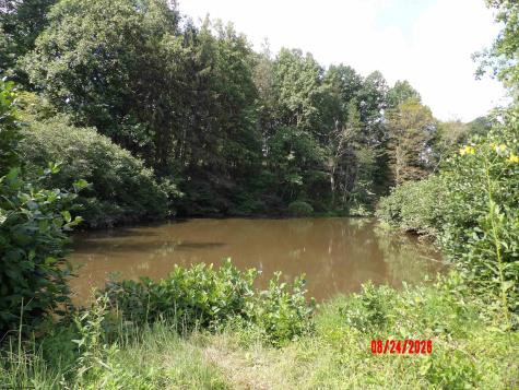 3788 Brushy Fork Road Buckhannon WV 26201