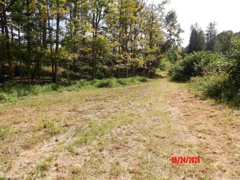 3788 Brushy Fork Road Buckhannon WV 26201