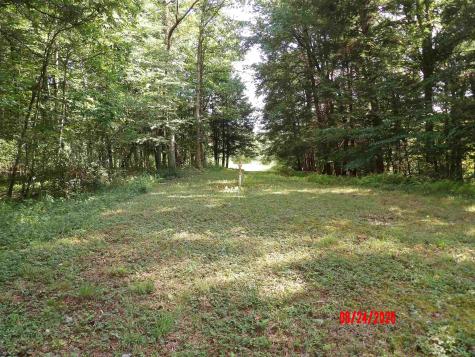 3788 Brushy Fork Road Buckhannon WV 26201