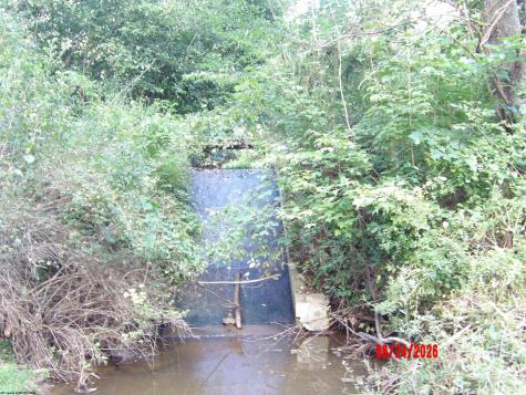 3788 Brushy Fork Road Buckhannon WV 26201