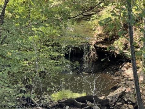 3788 Brushy Fork Road Buckhannon WV 26201