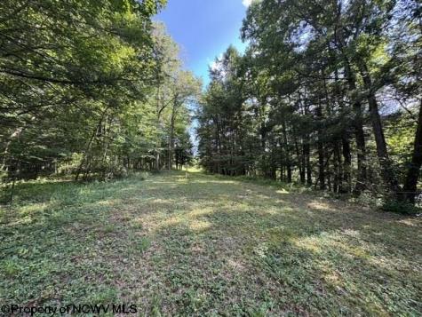 3788 Brushy Fork Road Buckhannon WV 26201