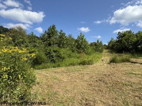 3788 Brushy Fork Road Buckhannon WV 26201