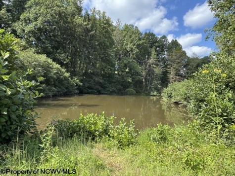 3788 Brushy Fork Road Buckhannon WV 26201