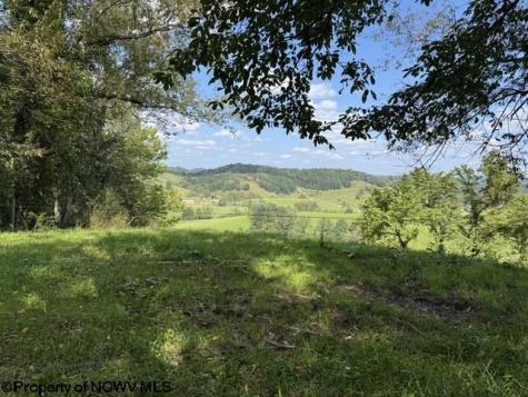3788 Brushy Fork Road Buckhannon WV 26201