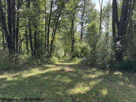 3788 Brushy Fork Road Buckhannon WV 26201
