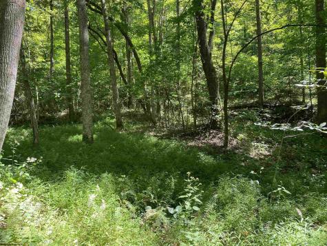 2447 Gaines Road Rock Cave WV 26234