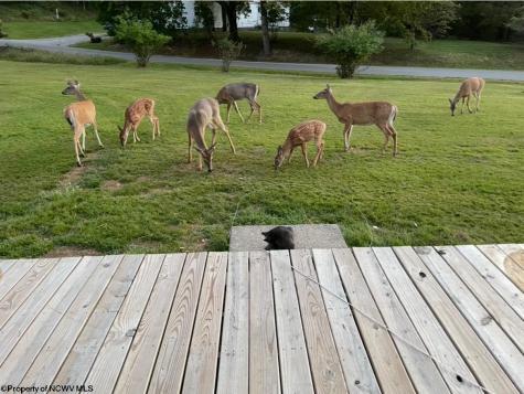 2447 Gaines Road Rock Cave WV 26234