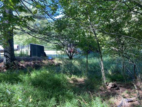 2447 Gaines Road Rock Cave WV 26234