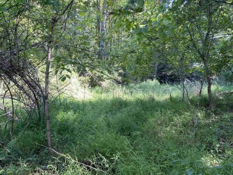 2447 Gaines Road Rock Cave WV 26234