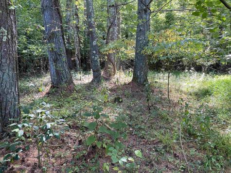 2447 Gaines Road Rock Cave WV 26234