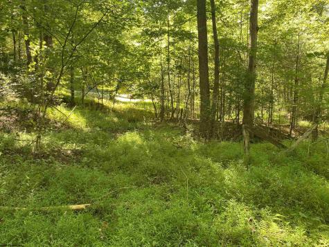 2447 Gaines Road Rock Cave WV 26234