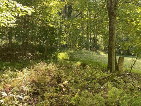 2447 Gaines Road Rock Cave WV 26234