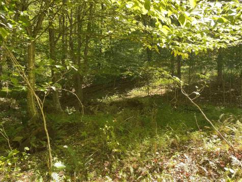 2447 Gaines Road Rock Cave WV 26234