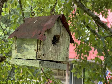 358 Marjorie Ann Drive Buckhannon WV 26201